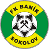 Banik Sokolov