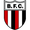 Botafogo de Ribeirão Preto B