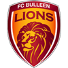 Bulleen Lions