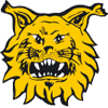 FC Ilves