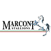 Marconi Stallions