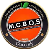 MCB Oued Sly