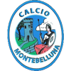 Montebelluna