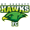 Mt Gravatt Hawks