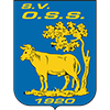 SV Oss '20