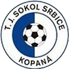 TJ Sokol Srbice