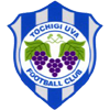 Tochigi City