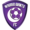 Wakiso Giants FC